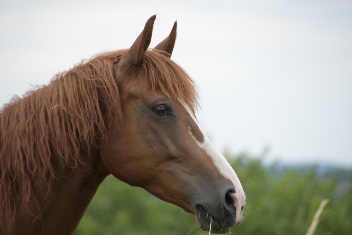 Begegnung der anderen&nbsp;Art