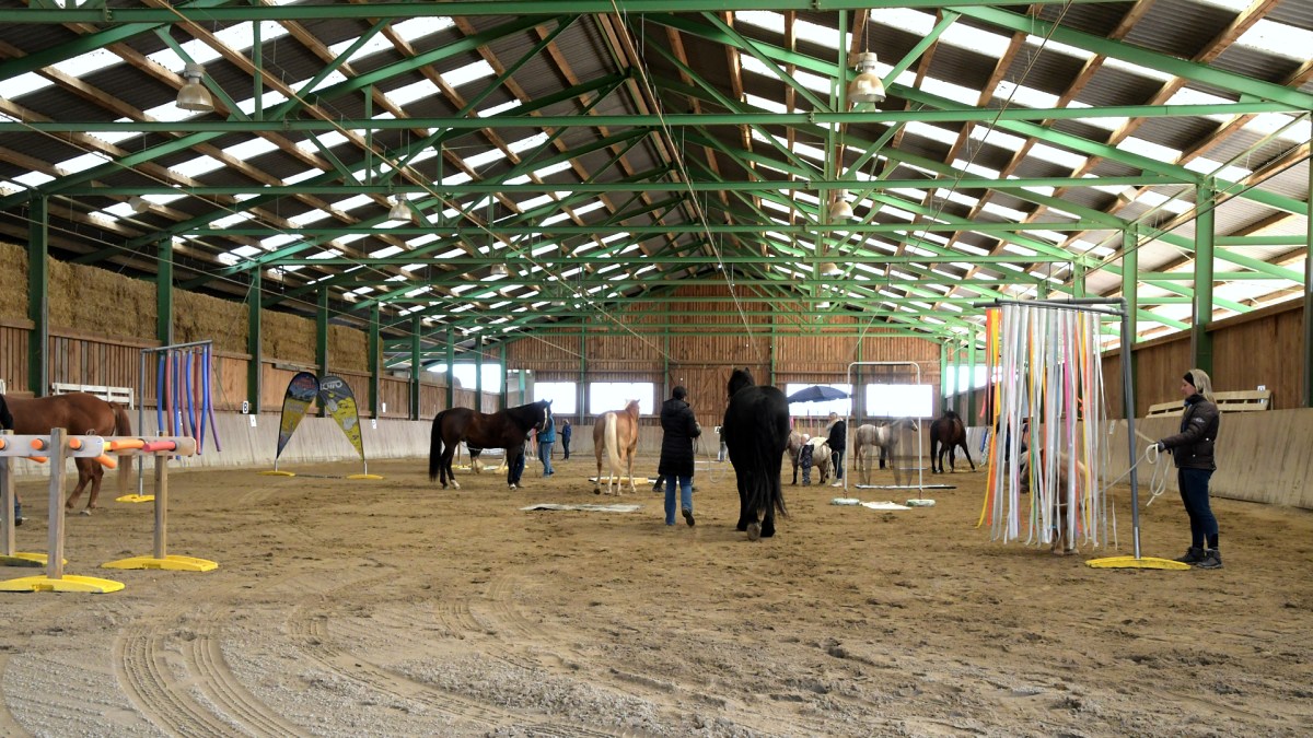 Gelassenheitstraining am Marienhof in&nbsp;Speisendorf
